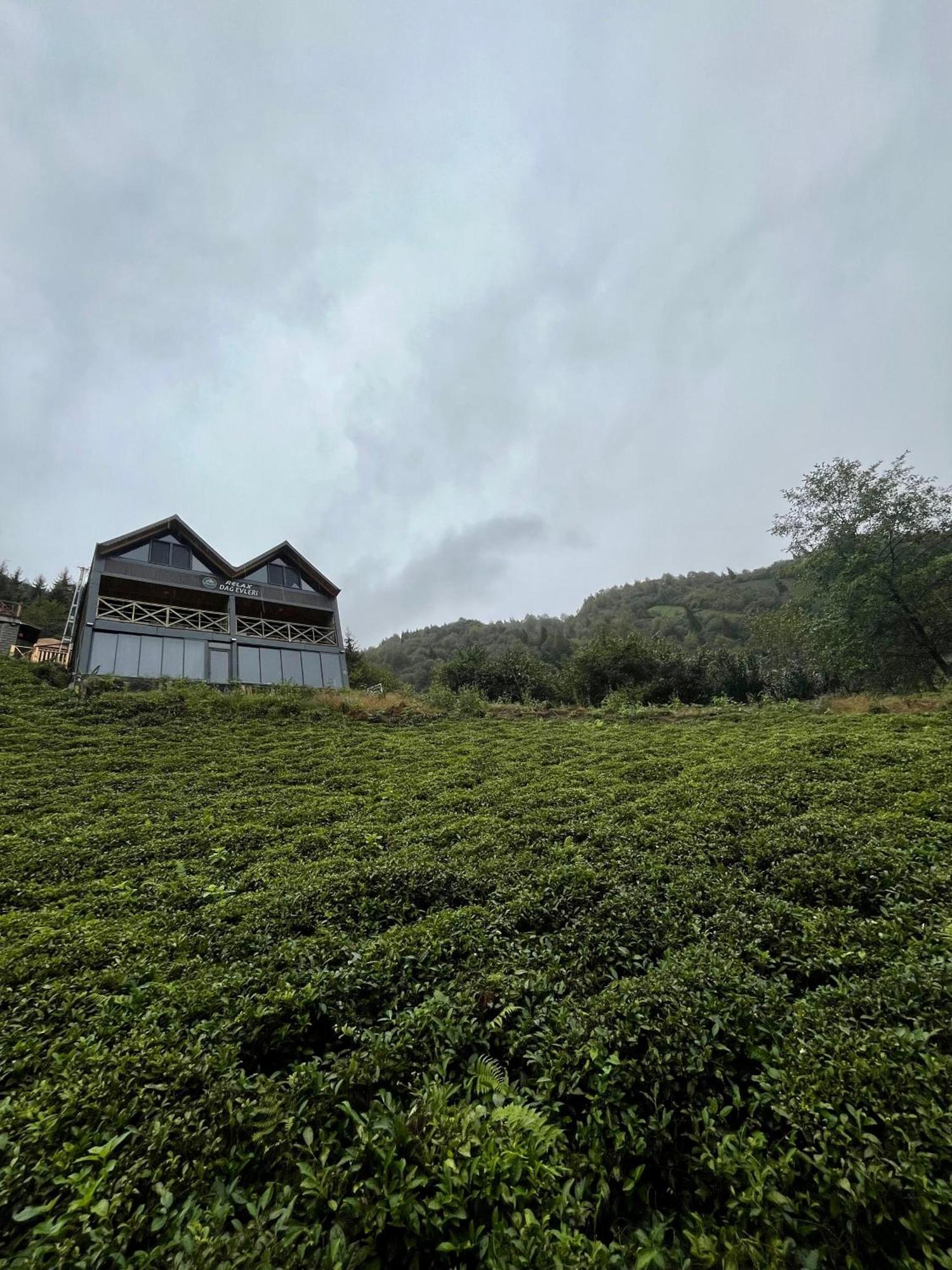 Relax Dag Evleri Rezistans Dikkaya  Exterior photo